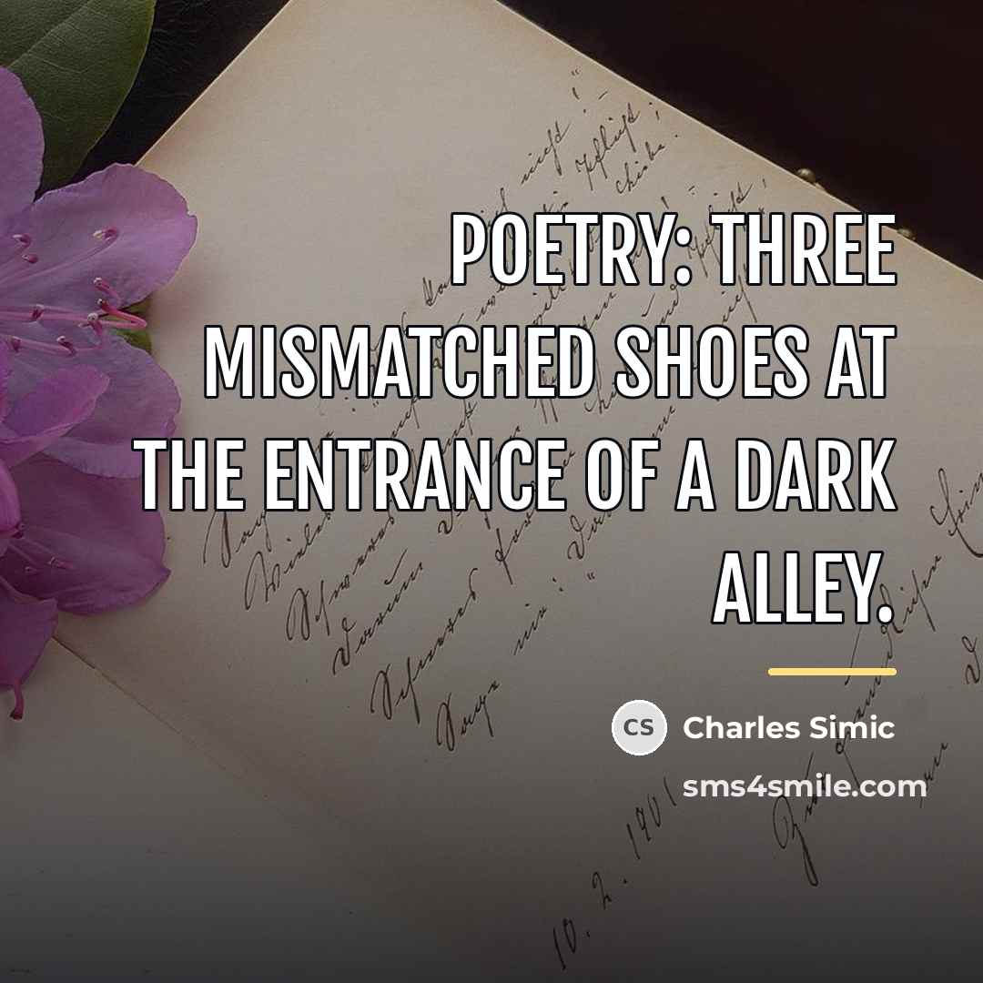 “Poetry: three mismatched shoes at the entrance of a dark…” quote by Charles Simic