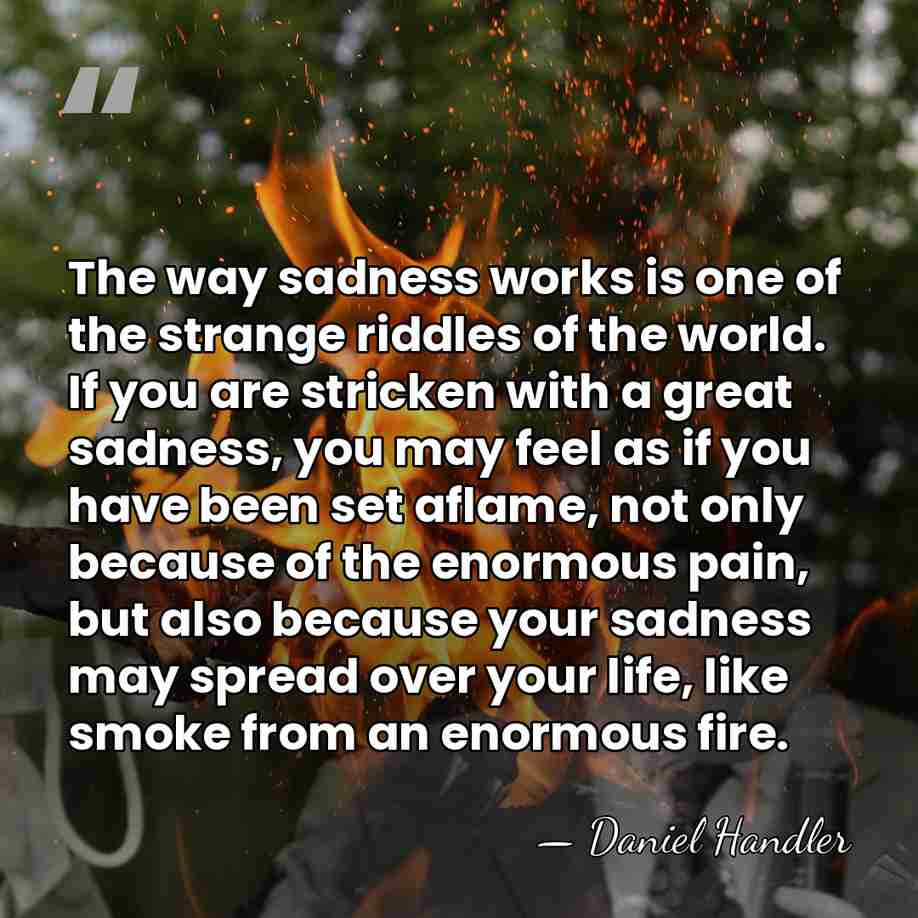 The way sadness works is one of the strange riddles of the&hellip; - Daniel Handler