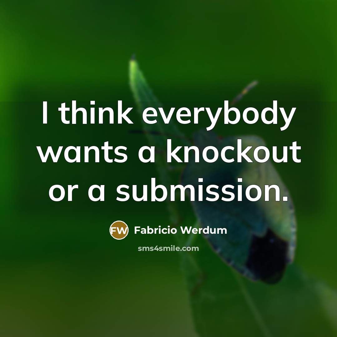 “I think everybody wants a knockout or a submission.…” quote by Fabricio Werdum