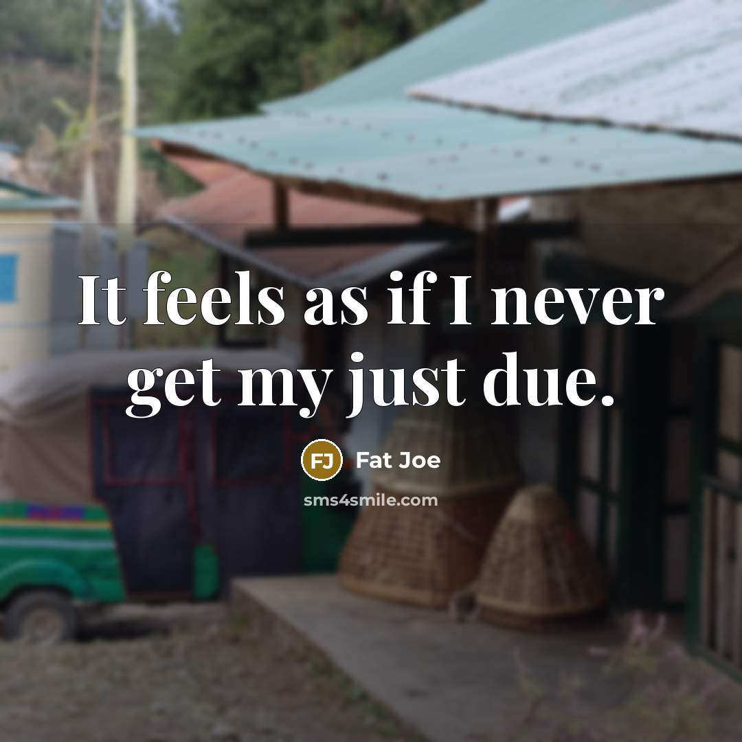 “It feels as if I never get my just due.…” quote by Fat Joe