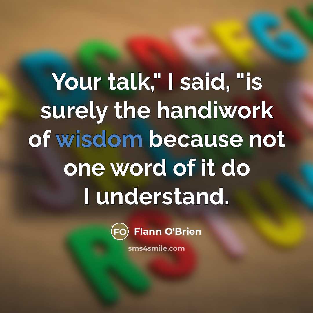 “Your talk," I said, "is surely the handiwork of wisdom…” quote by Flann O'Brien