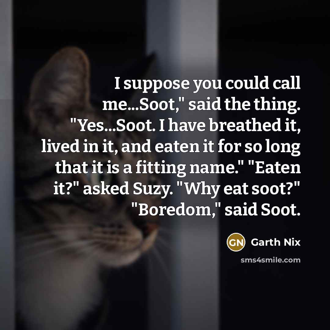 “I suppose you could call me...Soot," said the thing. "Yes...Soot.…” quote by Garth Nix