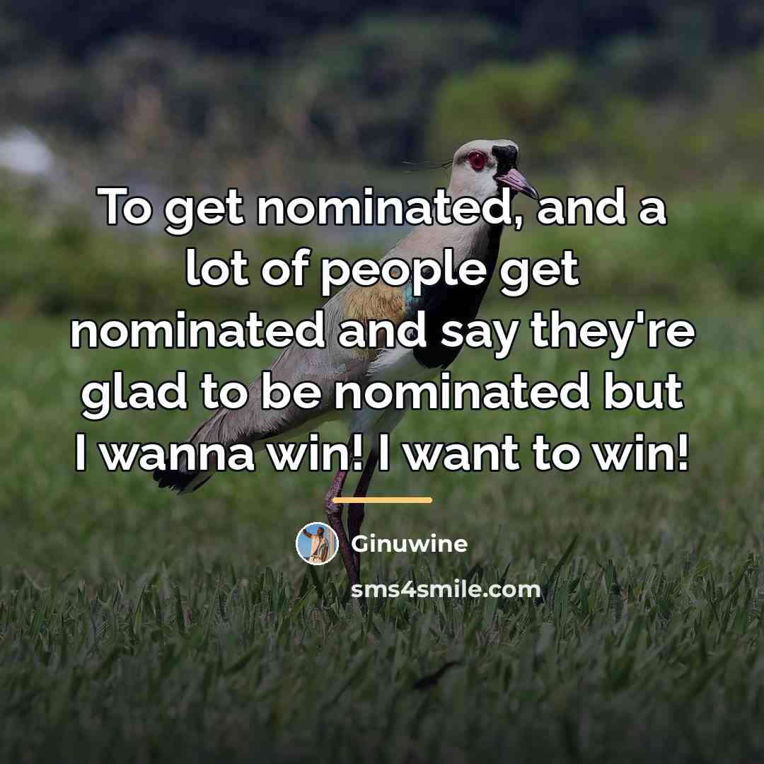 “To get nominated, and a lot of people get nominated…” quote by Ginuwine