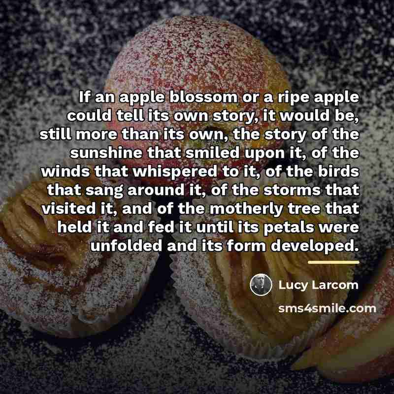 “If an apple blossom or a ripe apple could tell…” quote by Lucy Larcom