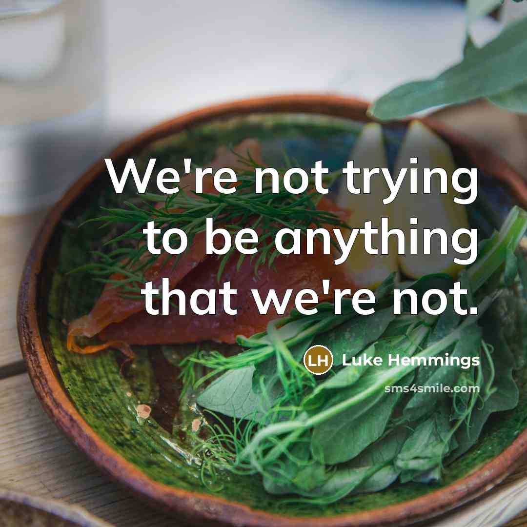 “We're not trying to be anything that we're not.…” quote by Luke Hemmings