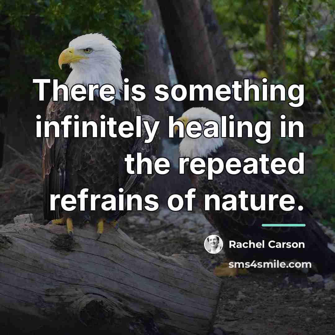 “There is something infinitely healing in the repeated refrains of…” quote by Rachel Carson