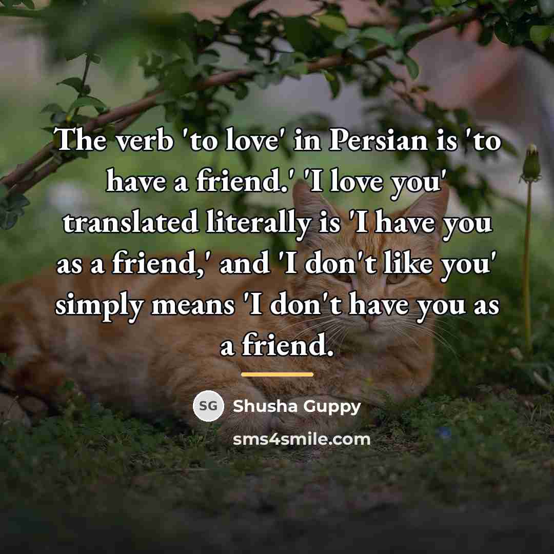 “The verb 'to love' in Persian is 'to have a…” quote by Shusha Guppy