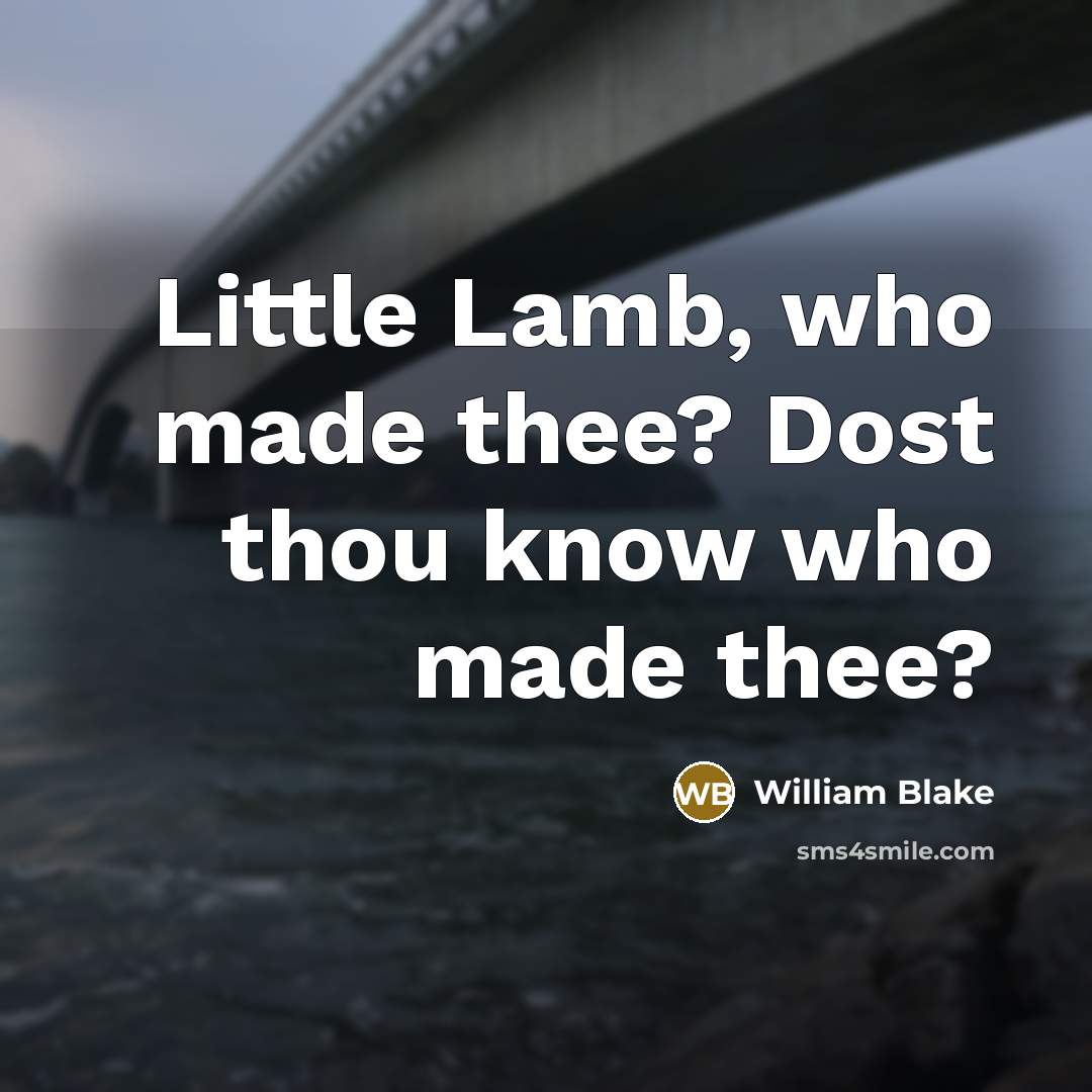 “Little Lamb, who made thee? Dost thou know who made…” quote by William Blake