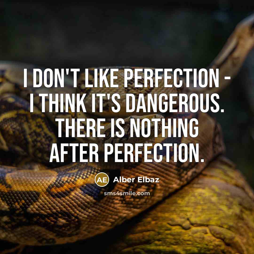 “I don't like perfection - I think it's dangerous. There…” quote by Alber Elbaz
