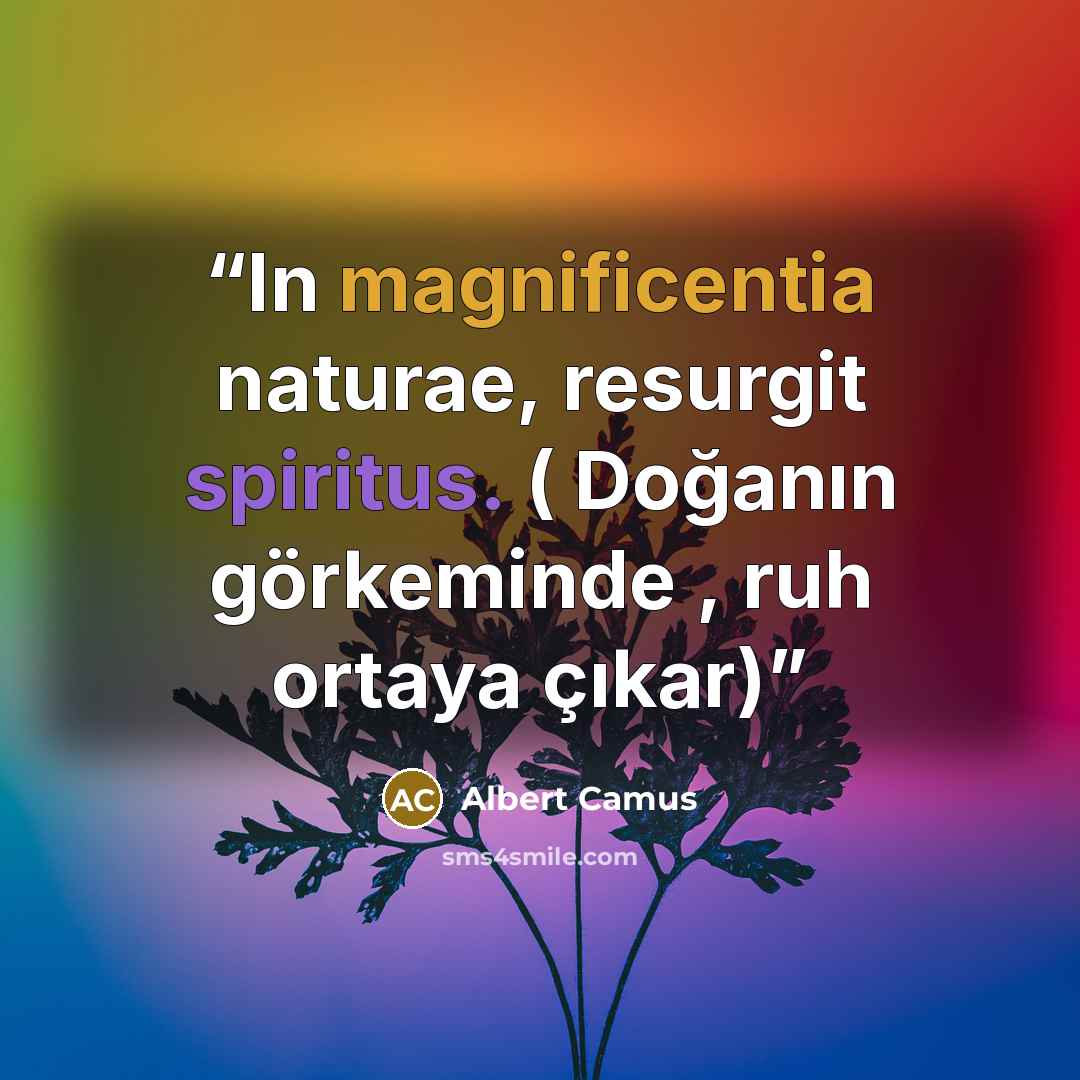“In magnificentia naturae, resurgit spiritus. ( Doğanın görkeminde , ruh ortaya çıkar)” quote by Albert Camus
