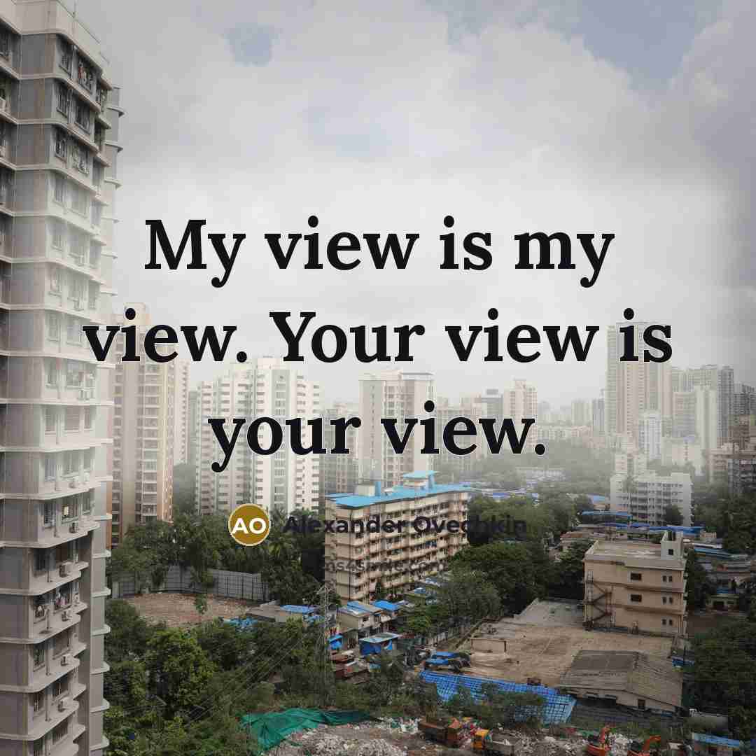 “My view is my view. Your view is your view.…” quote by Alexander Ovechkin