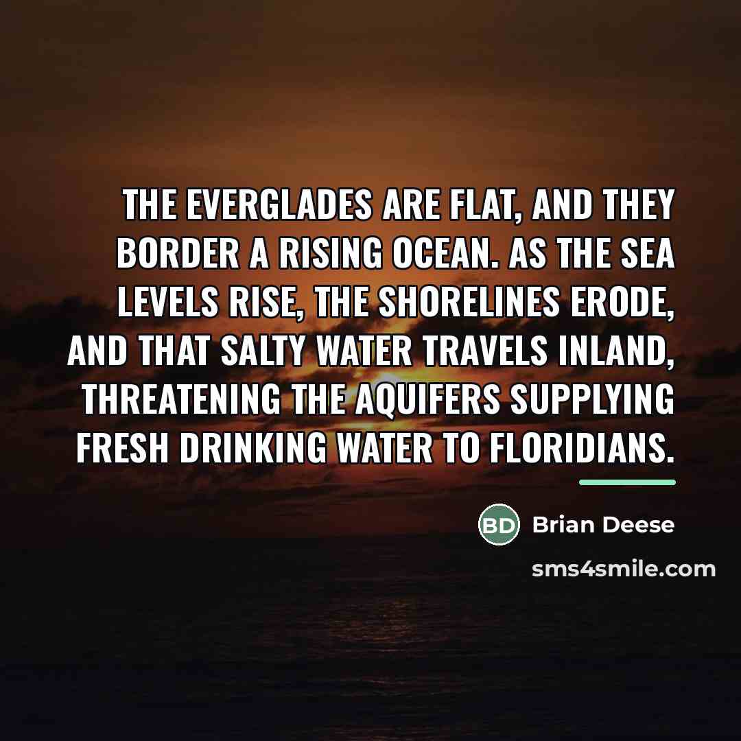 “The Everglades are flat, and they border a rising ocean.…” quote by Brian Deese