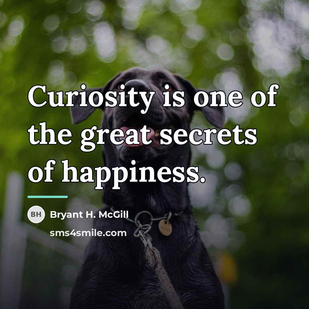 “Curiosity is one of the great secrets of happiness.…” quote by Bryant H. McGill