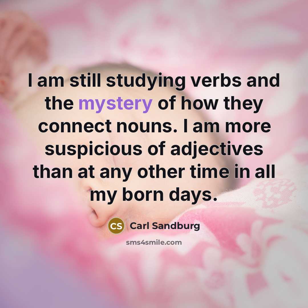 “I am still studying verbs and the mystery of how…” quote by Carl Sandburg