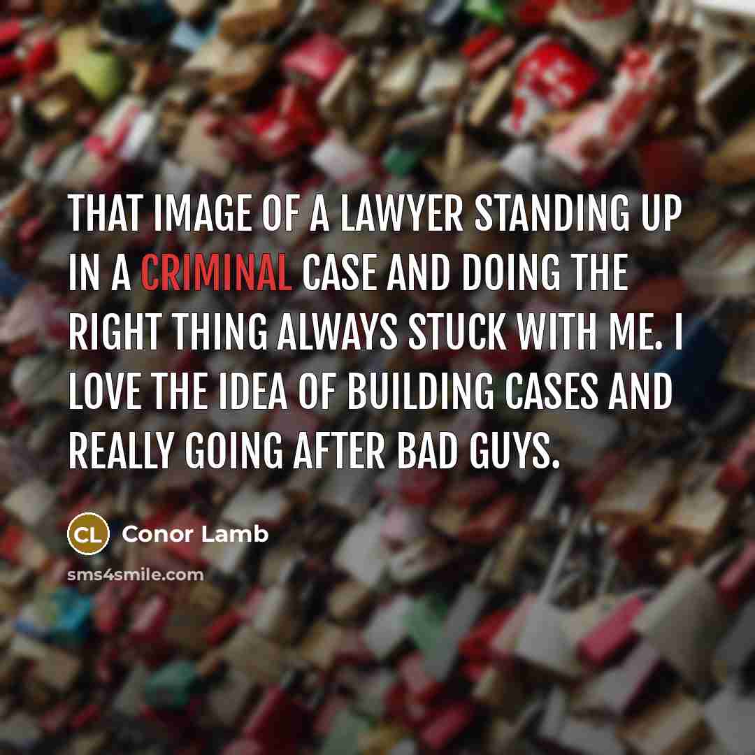 “That image of a lawyer standing up in a criminal…” quote by Conor Lamb