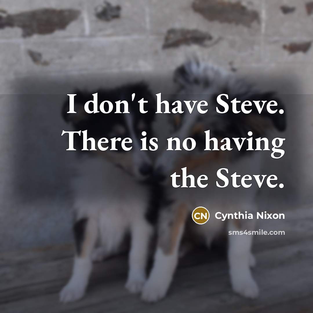 “I don't have Steve. There is no having the Steve.…” quote by Cynthia Nixon