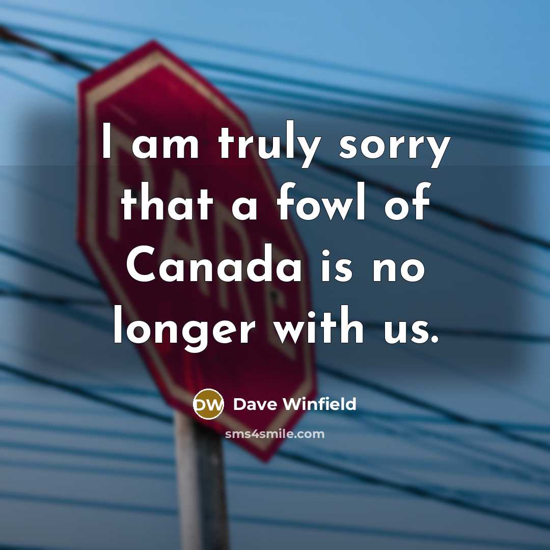 “I am truly sorry that a fowl of Canada is…” quote by Dave Winfield