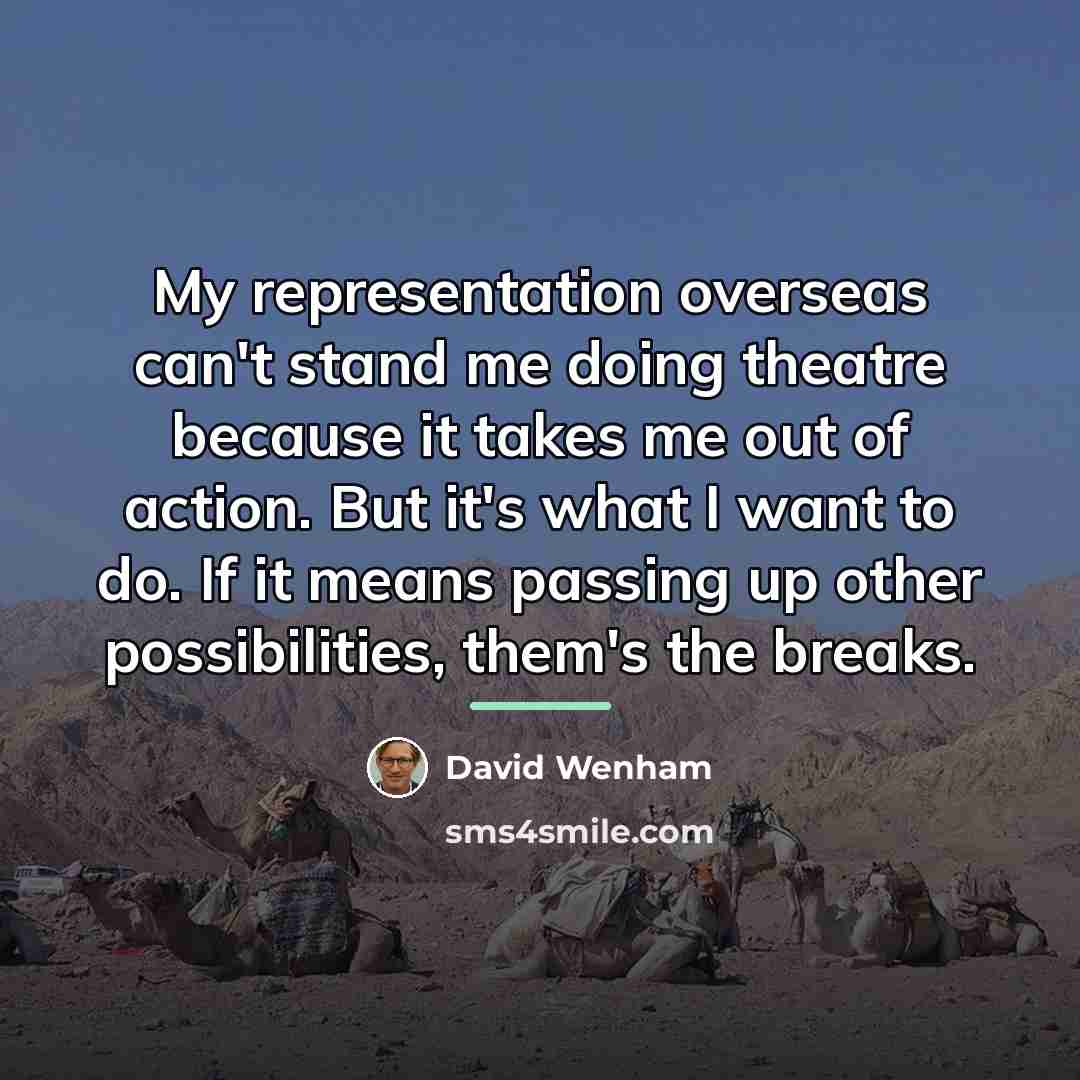 “My representation overseas can't stand me doing theatre because it…” quote by David Wenham