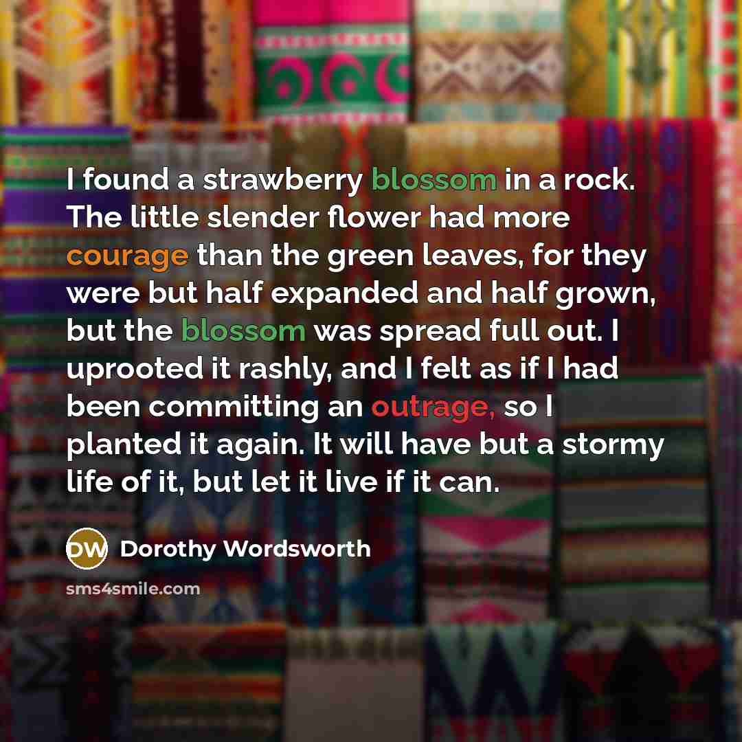 “I found a strawberry blossom in a rock. The little…” quote by Dorothy Wordsworth