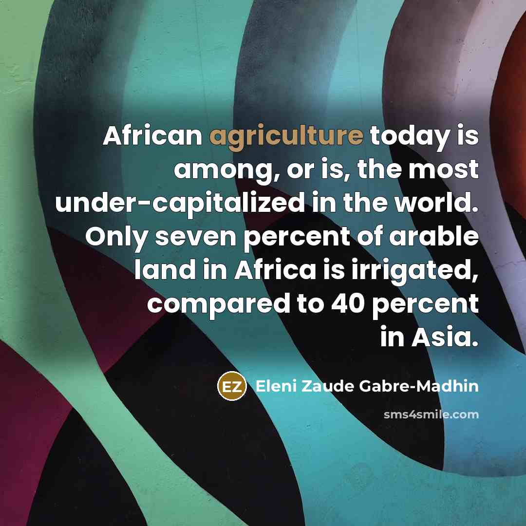 “African agriculture today is among, or is, the most under-capitalized…” quote by Eleni Zaude Gabre-Madhin