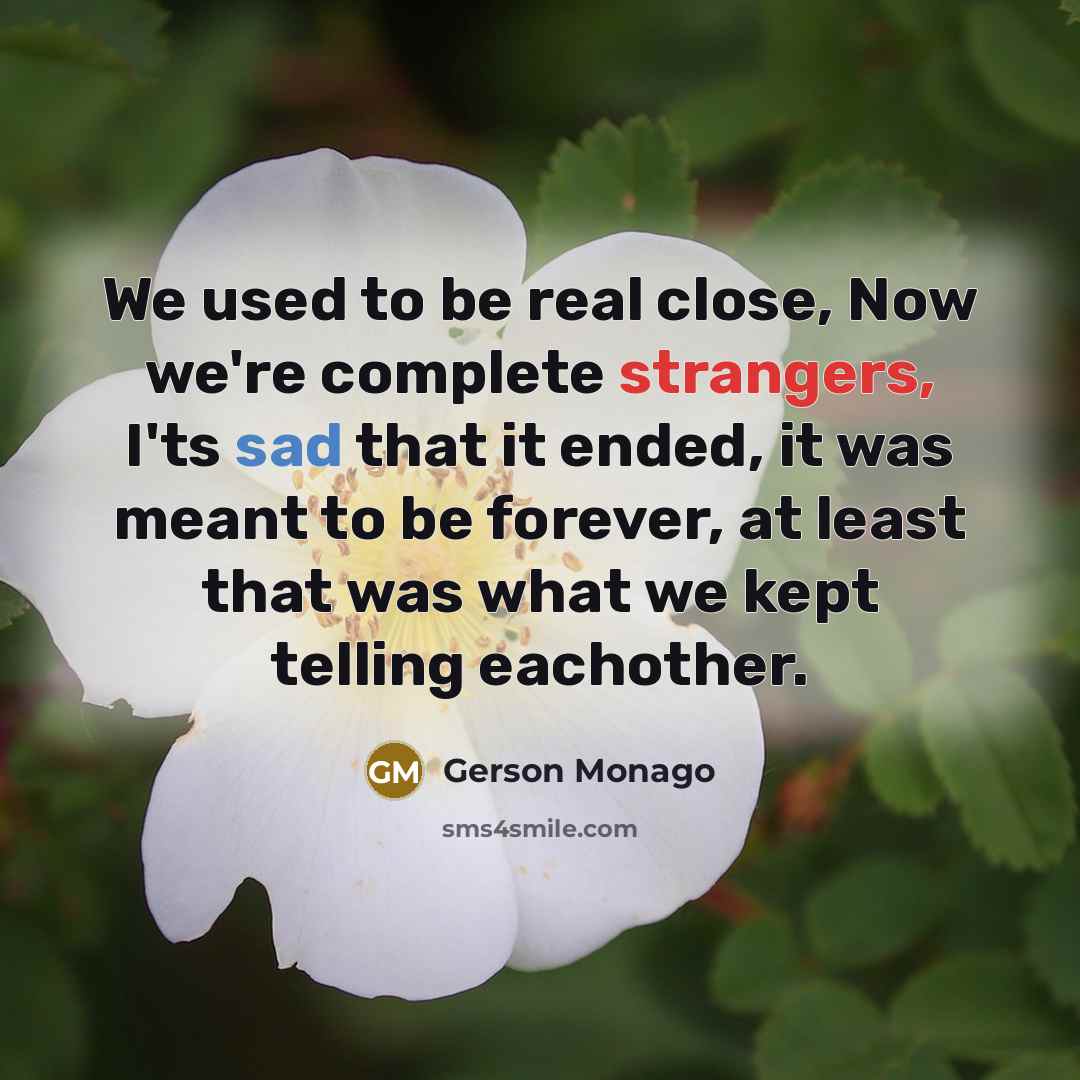 “We used to be real close, Now we're complete strangers,…” quote by Gerson Monago