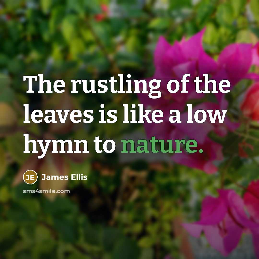 “The rustling of the leaves is like a low hymn…” quote by James Ellis