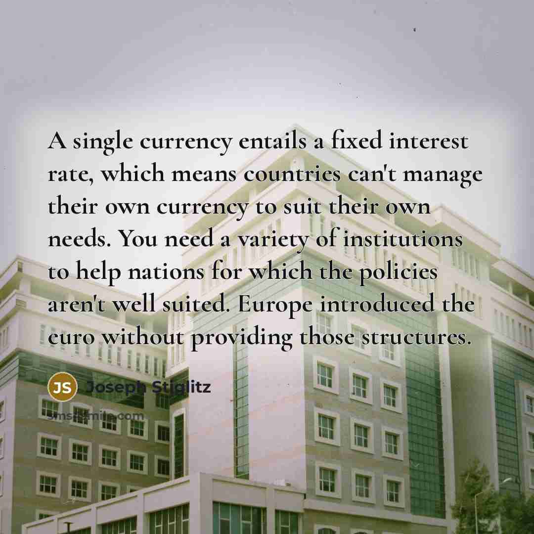 “A single currency entails a fixed interest rate, which means…” quote by Joseph Stiglitz