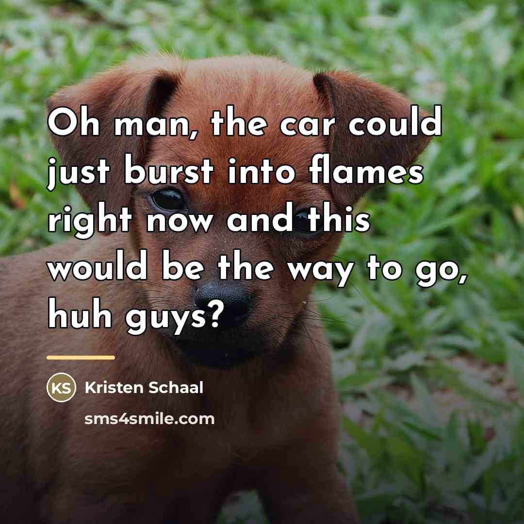 “Oh man, the car could just burst into flames right…” quote by Kristen Schaal