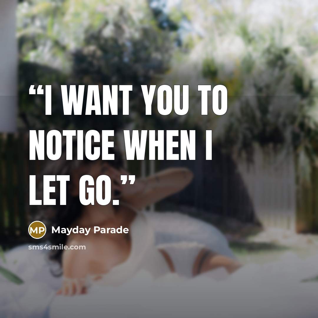 “I want you to notice when I let go.” quote by Mayday Parade