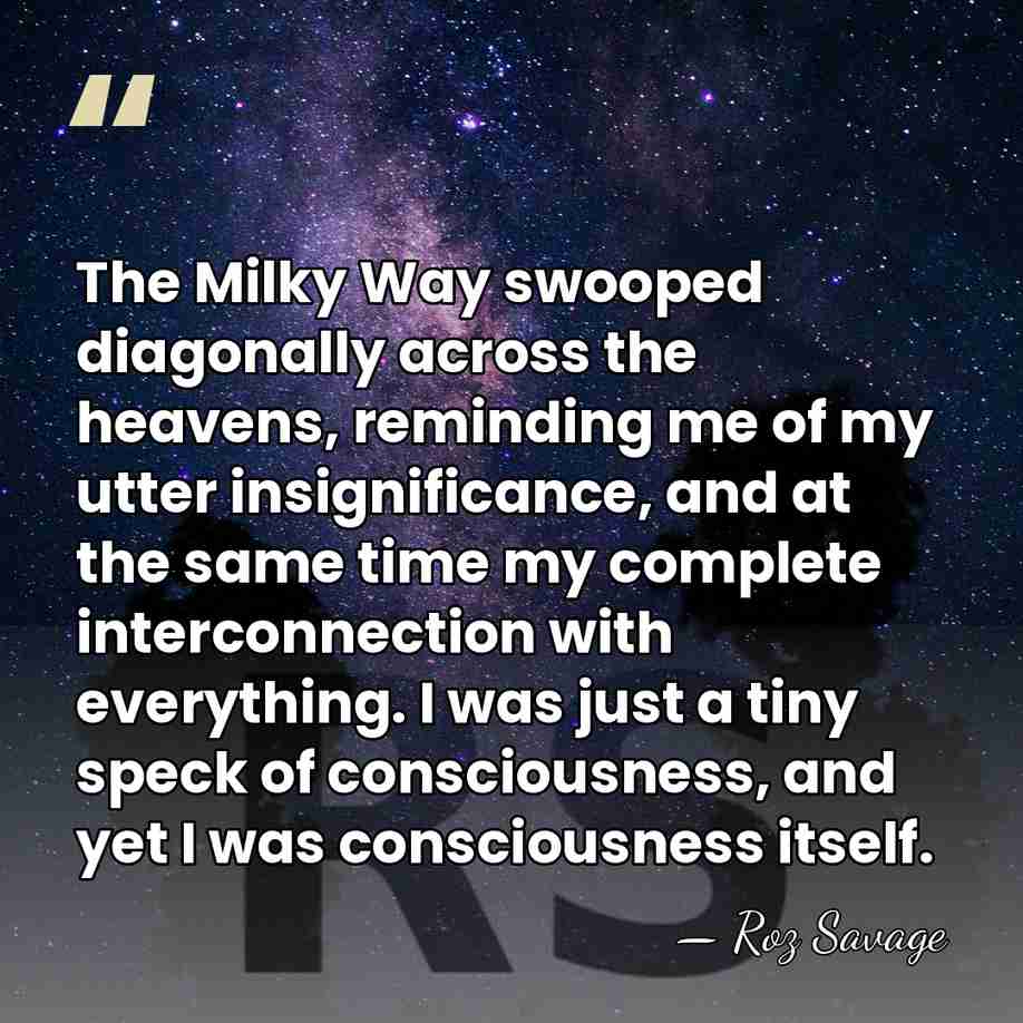 The Milky Way swooped diagonally across the heavens, reminding me of my&hellip; - Roz Savage