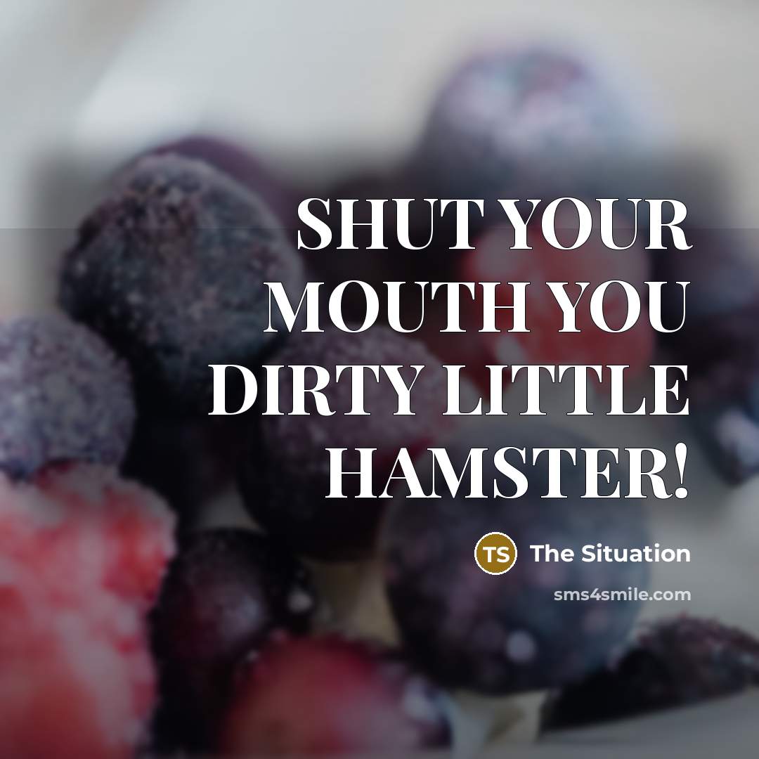 “SHUT YOUR MOUTH YOU DIRTY LITTLE HAMSTER!” quote by The Situation