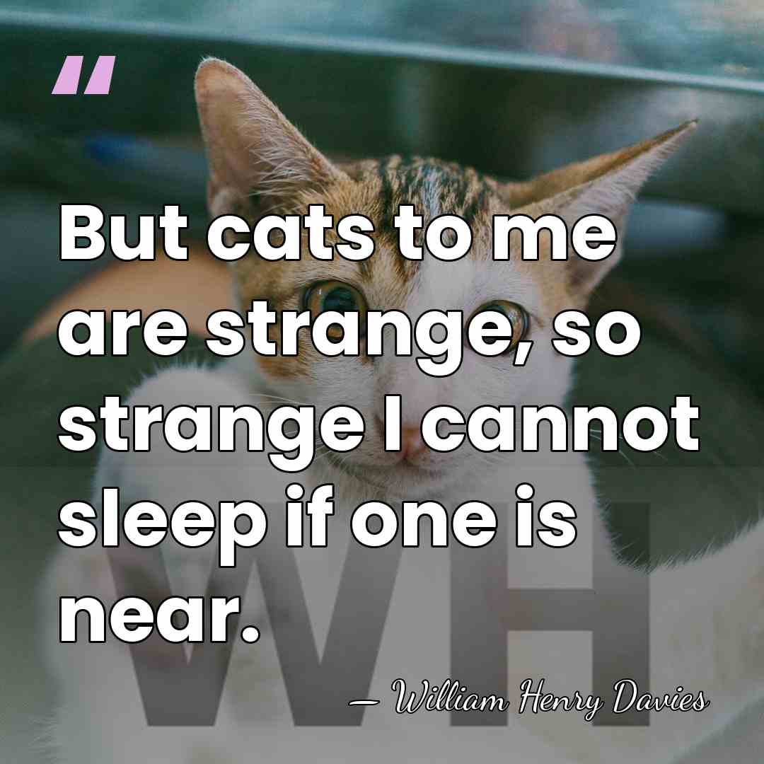 But cats to me are strange, so strange I cannot sleep if&hellip; - William Henry Davies