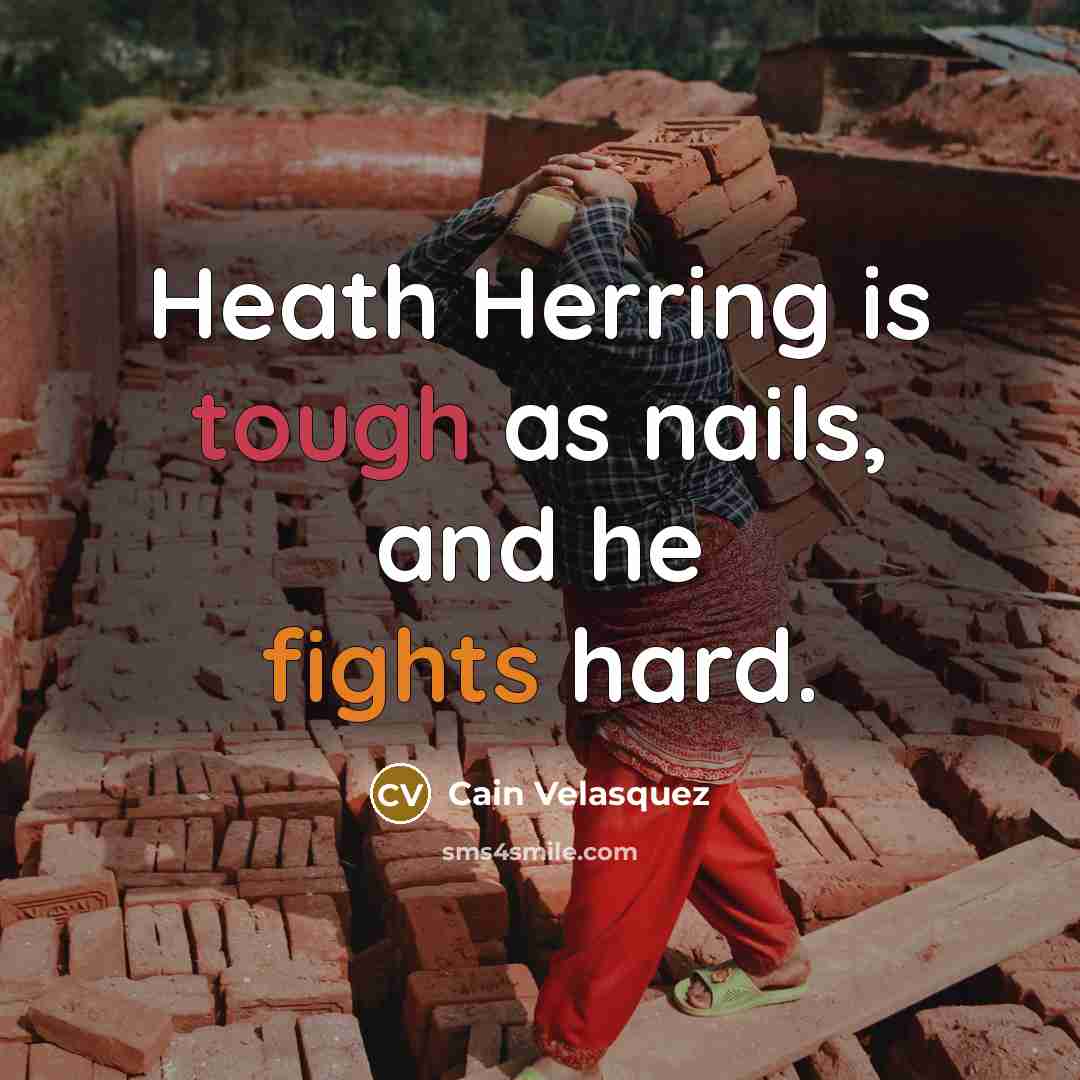 “Heath Herring is tough as nails, and he fights hard.…” quote by Cain Velasquez