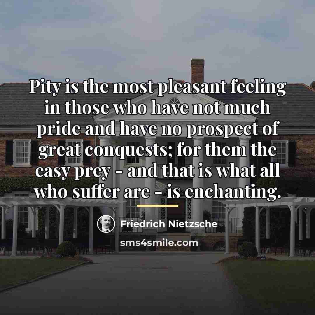 “Pity is the most pleasant feeling in those who have…” quote by Friedrich Nietzsche
