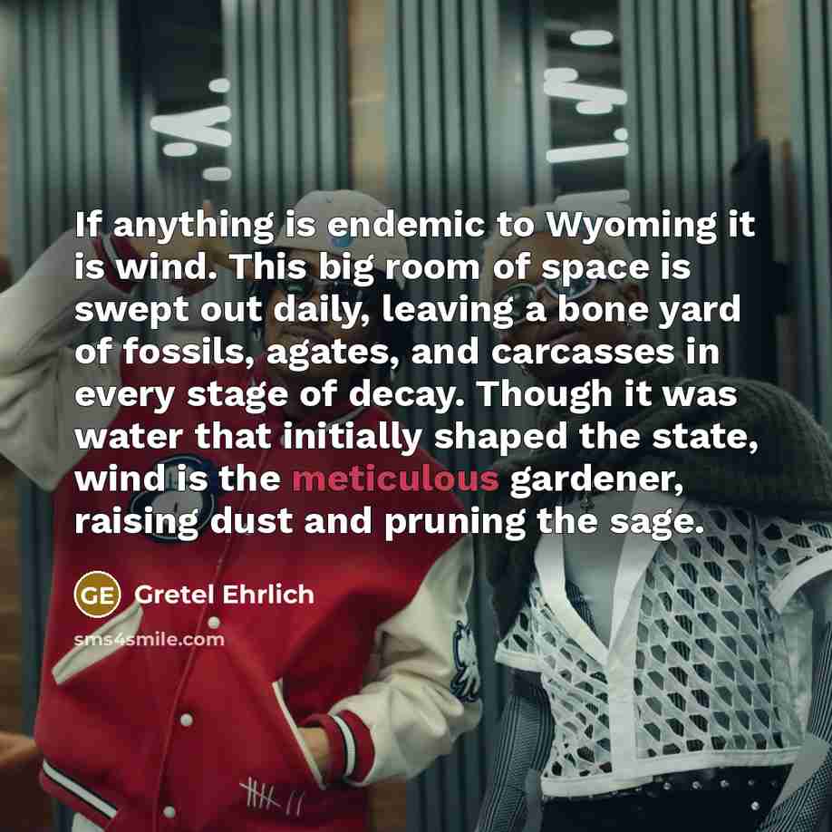 “If anything is endemic to Wyoming it is wind. This…” quote by Gretel Ehrlich