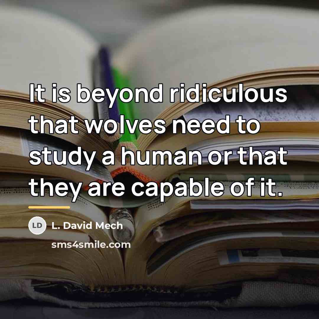 “It is beyond ridiculous that wolves need to study a…” quote by L. David Mech