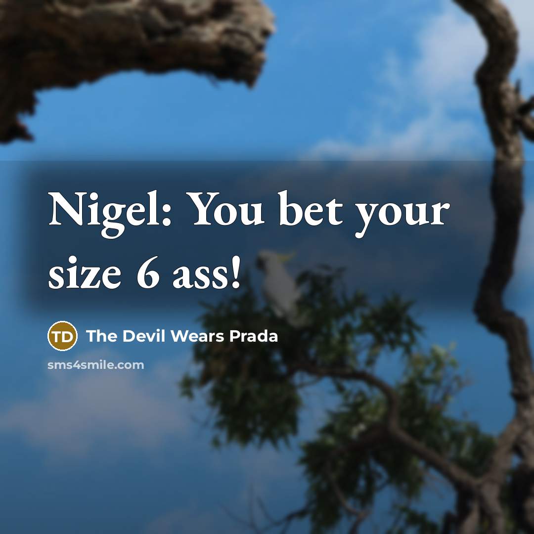 “Nigel: You bet your size 6 ass!…” quote by The Devil Wears Prada