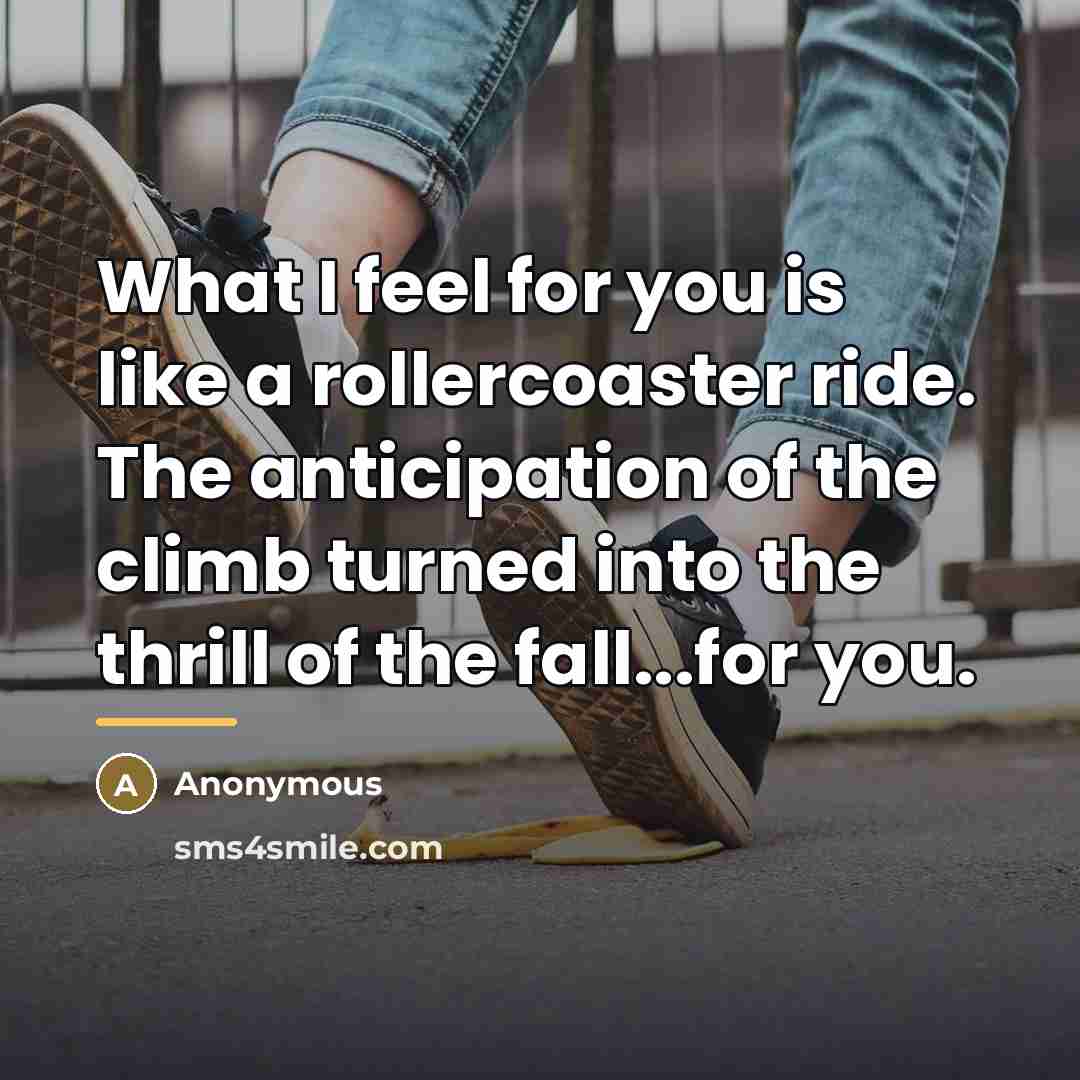 “What I feel for you is like a rollercoaster ride.…” quote by Anonymous