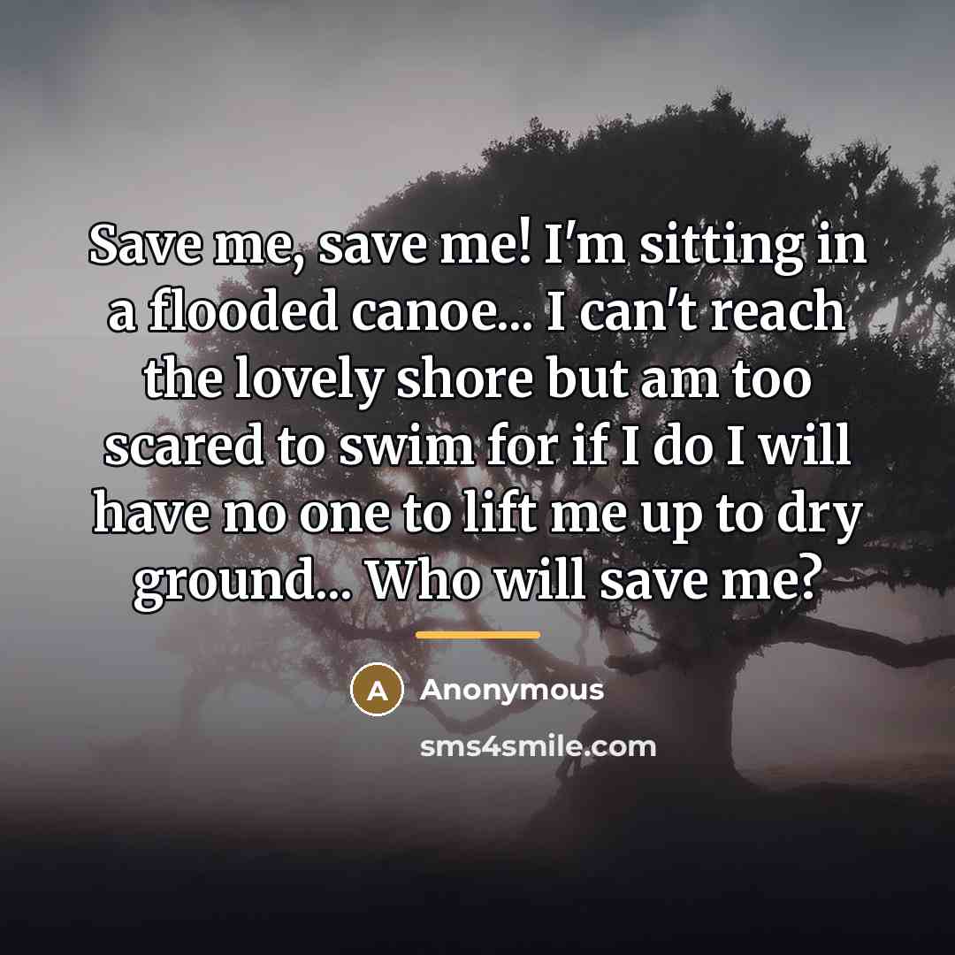“Save me, save me! I'm sitting in a flooded canoe... I can't reach the lovely shore but am too scared to swim for if I do I will have no one to lift me up to dry ground... Who will save me?” quote by Anonymous