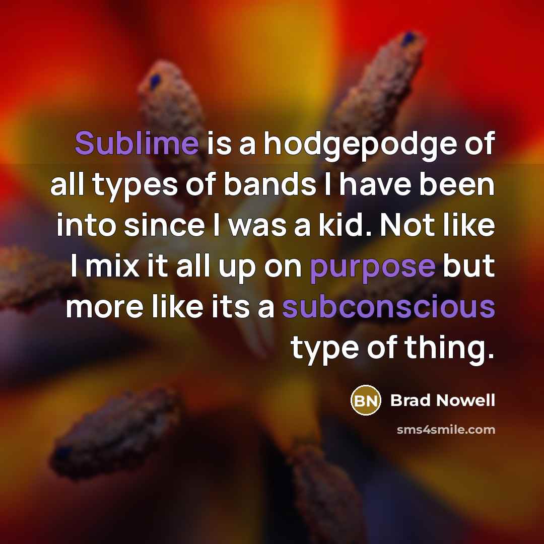 “Sublime is a hodgepodge of all types of bands I have been into since I was a kid. Not like I mix it all up on purpose but more like its a subconscious type of thing.” quote by Brad Nowell
