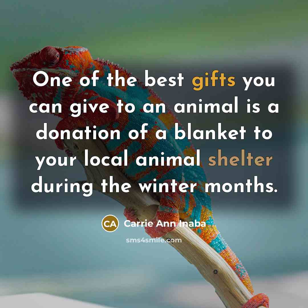 “One of the best gifts you can give to an…” quote by Carrie Ann Inaba