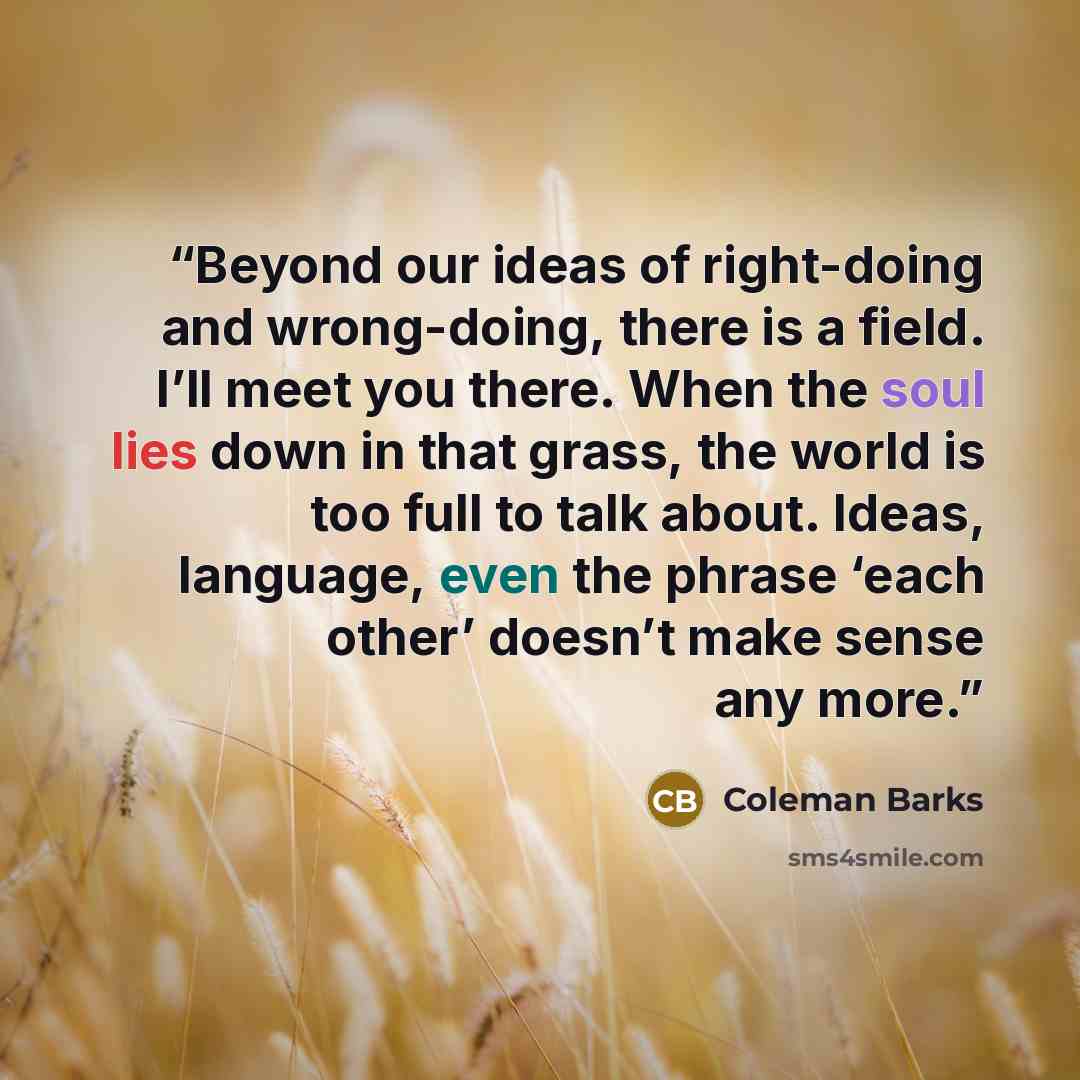 “Beyond our ideas of right-doing and wrong-doing, there is a field. I’ll meet you there. When the soul lies down in that grass, the world is too full to talk about. Ideas, language, even the phrase ‘each other’ doesn’t make sense any more.” quote by Coleman Barks
