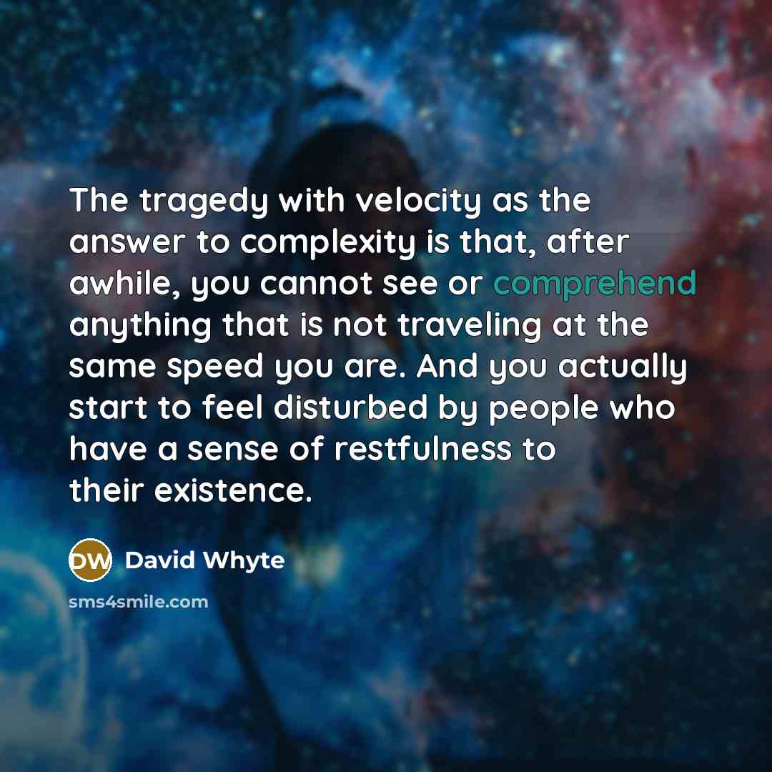 “The tragedy with velocity as the answer to complexity is…” quote by David Whyte