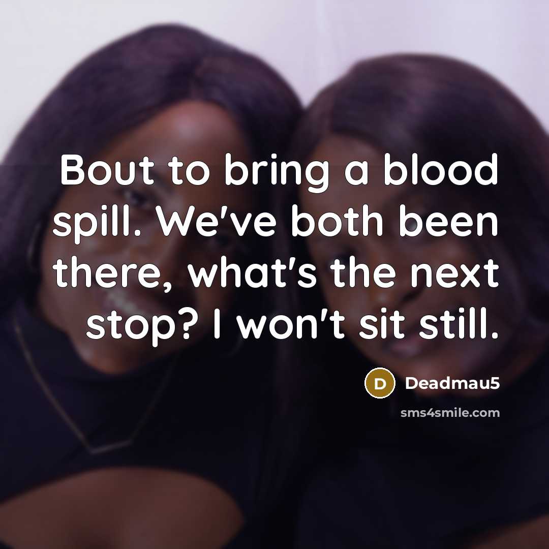 “Bout to bring a blood spill. We've both been there,…” quote by Deadmau5