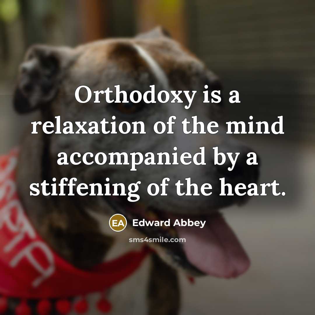 “Orthodoxy is a relaxation of the mind accompanied by a…” quote by Edward Abbey