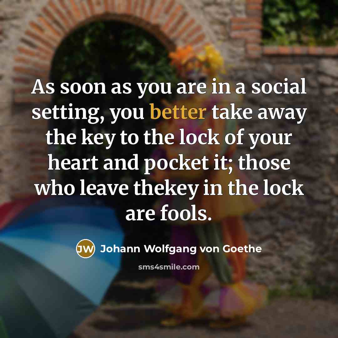 “As soon as you are in a social setting, you…” quote by Johann Wolfgang von Goethe