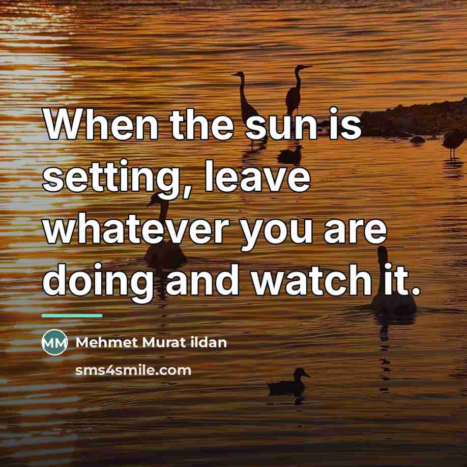 “When the sun is setting, leave whatever you are doing…” quote by Mehmet Murat Ildan