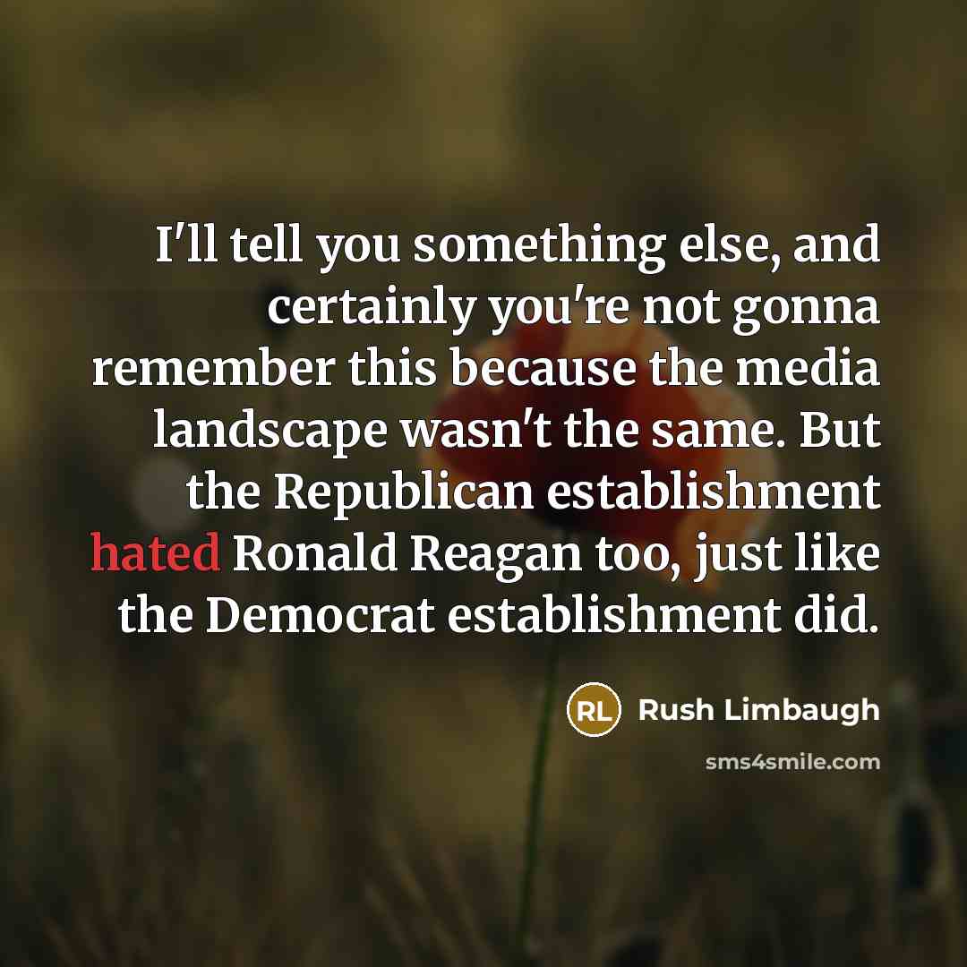 “I'll tell you something else, and certainly you're not gonna…” quote by Rush Limbaugh