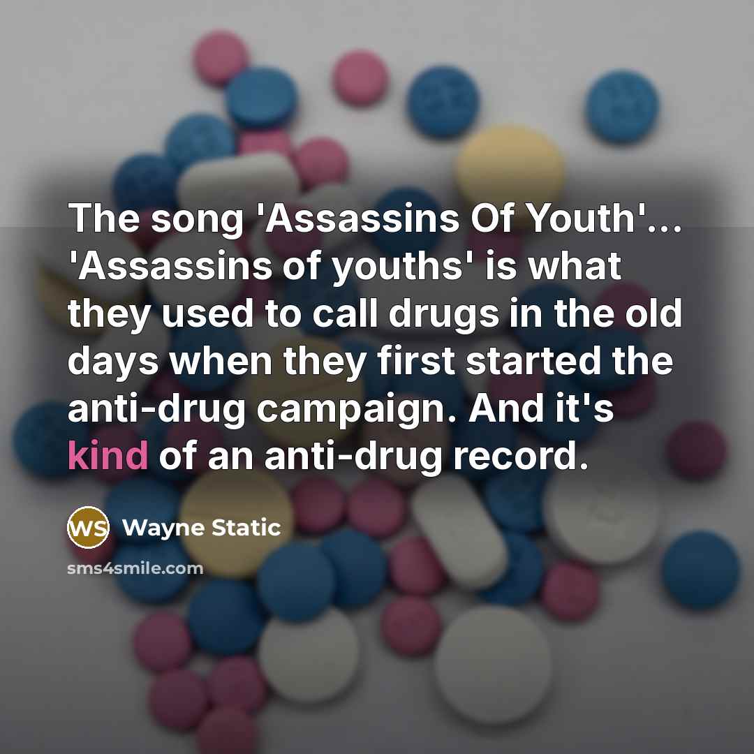 “The song 'Assassins Of Youth'... 'Assassins of youths' is what…” quote by Wayne Static