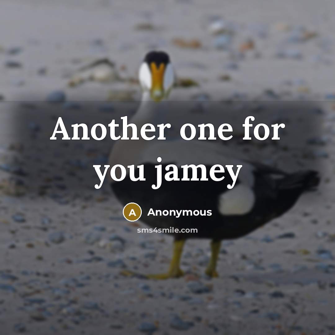 “Another one for you jamey…” quote by Anonymous